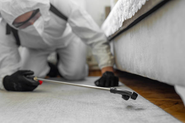 Professional Termite Control technician working in Deshler, OH