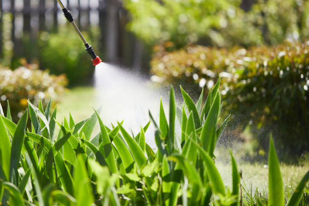 24/7 Emergency Termite Control experts in Deshler, OH